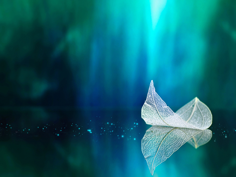 Prozirni list na staklu